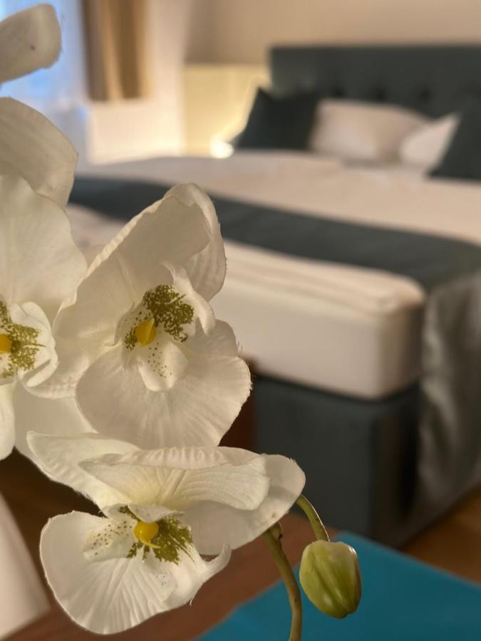 Home Sweet Apartments - A Cozy Welcome Виена Екстериор снимка